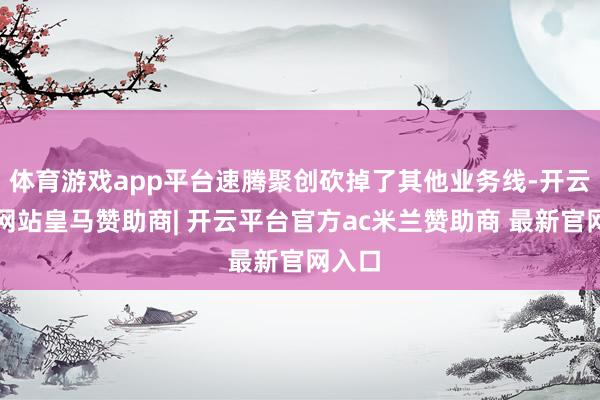 体育游戏app平台速腾聚创砍掉了其他业务线-开云平台网站皇马赞助商| 开云平台官方ac米兰赞助商 最新官网入口