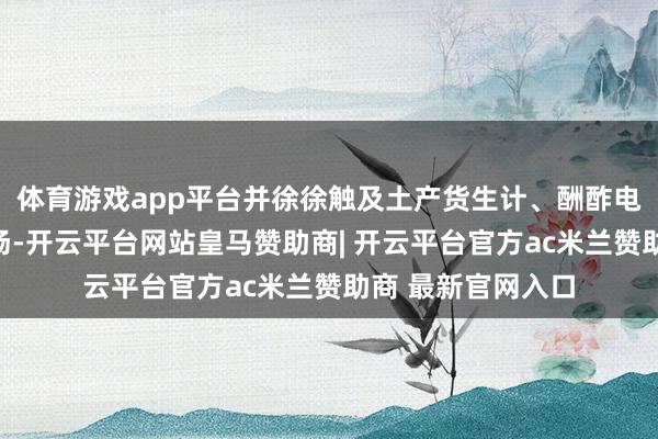 体育游戏app平台并徐徐触及土产货生计、酬酢电商等多个电商市场-开云平台网站皇马赞助商| 开云平台官方ac米兰赞助商 最新官网入口