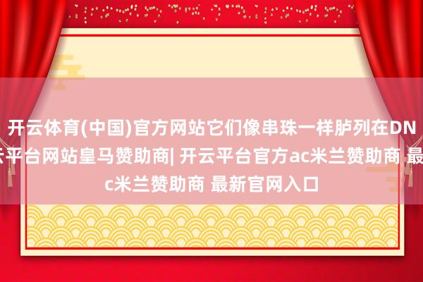 开云体育(中国)官方网站它们像串珠一样胪列在DNA链上-开云平台网站皇马赞助商| 开云平台官方ac米兰赞助商 最新官网入口