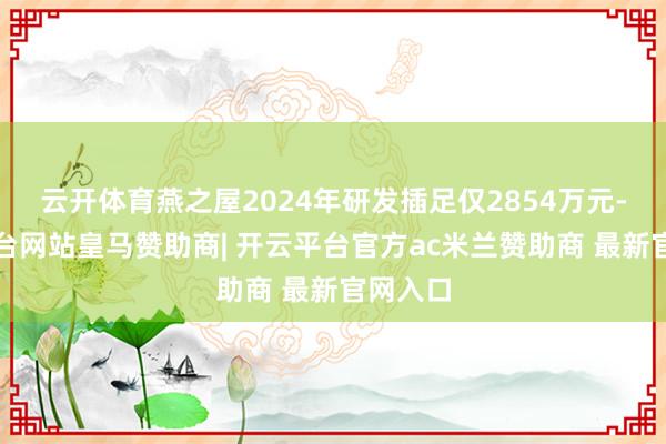 云开体育燕之屋2024年研发插足仅2854万元-开云平台网站皇马赞助商| 开云平台官方ac米兰赞助商 最新官网入口