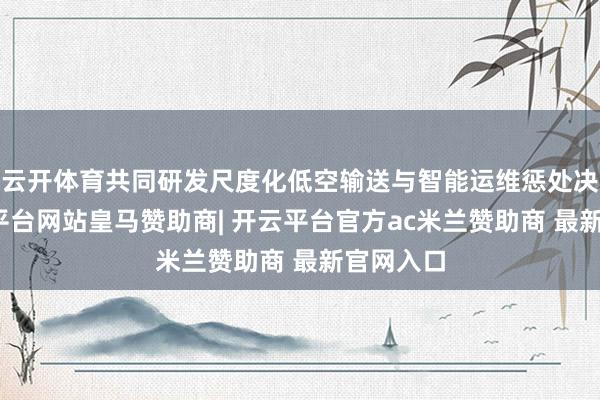 云开体育共同研发尺度化低空输送与智能运维惩处决策-开云平台网站皇马赞助商| 开云平台官方ac米兰赞助商 最新官网入口