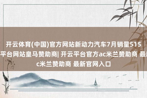 开云体育(中国)官方网站新动力汽车7月销量51520辆-开云平台网站皇马赞助商| 开云平台官方ac米兰赞助商 最新官网入口
